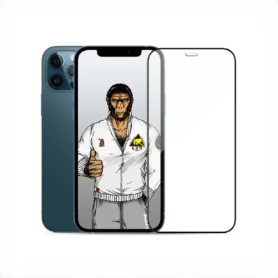 محافظ صفحه نمایش شیشه ای بولوئو آیفون BLUEO Antistatic Dustproof Temepered Glass Iphone 12 Pro Max 2